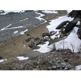 photo miniature